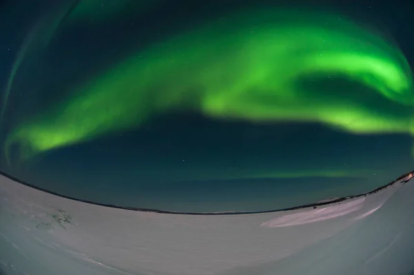 aurora borealis. Gece gökyüzü. Sibirya