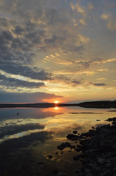 Siberia — Stock Photo, Image