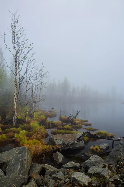 Siberia — Stock Photo, Image