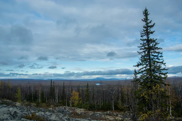 Rússia território de krasnoyarsk — Fotografia de Stock