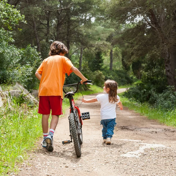 Ormanda yürüyüş çocuk.