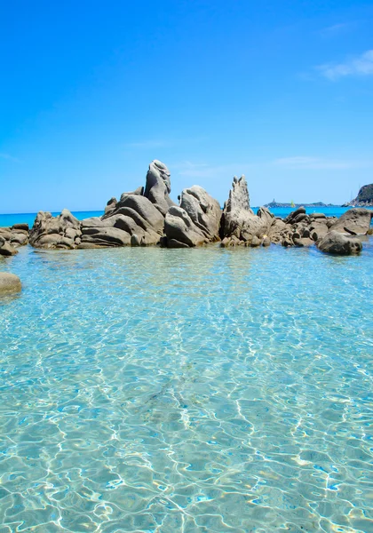 Meer auf Sardinen — Stockfoto