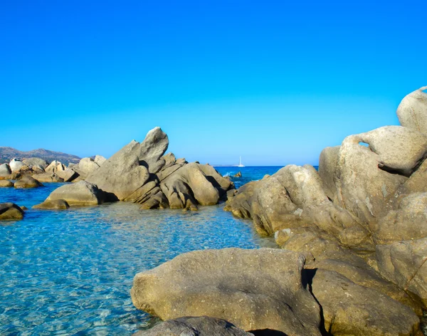 Wunderschönes Meer, Sardinen — Stockfoto