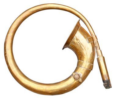 beyaz izole korna