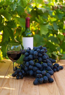 Bağ yakınındaki ahşap masada kırmızı şarap şişesi