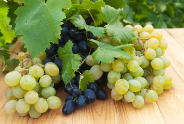 Üzüm bağı yakınında ahşap masada