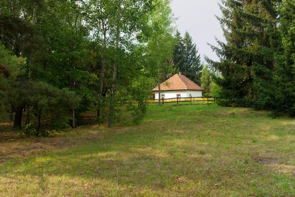 Casa Velha Floresta — Fotografia de Stock