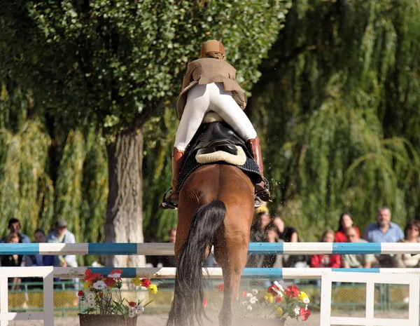 Horse Show Jumping Competitie — Stockfoto