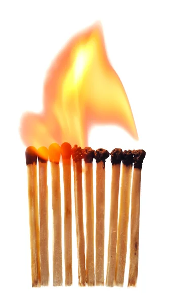 Burning Matches Isolated White — Stock Photo, Image
