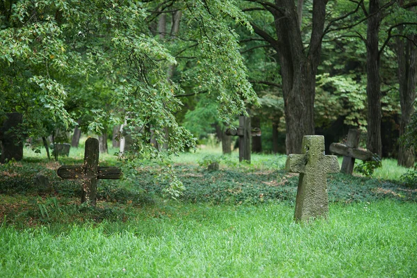 Terk Edilmiş Mezarlıkta Eski Mezar Taşları — Stok fotoğraf