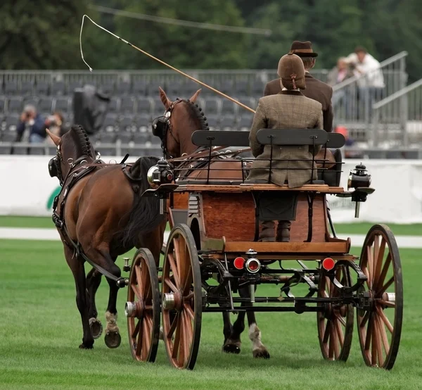 伝統的な馬の運転競技 — ストック写真
