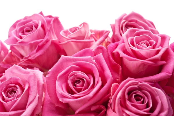 Roses Roses Sur Fond Blanc Peut Être Positionné Bas Page — Photo