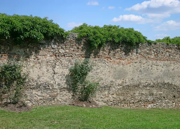 Ancient castle wall — Stock Photo, Image