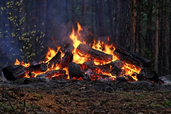 Big bonfire — Stock Photo, Image