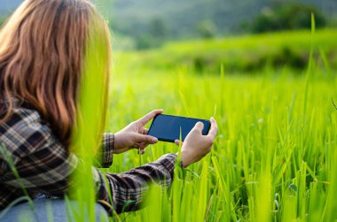 Çiftçiler tarımsal tarım faaliyetlerinde modern teknolojinin uygulanması için ekili alanlarında dijital akıllı telefonlar kullanıyorlar..