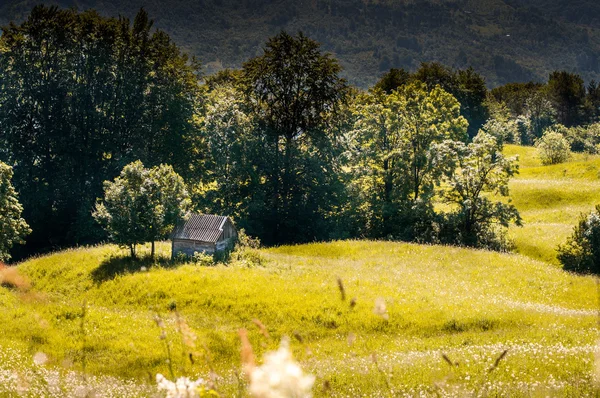 夏の山の木製コテージ — ストック写真