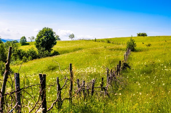 Rumänska kullar med staket Royaltyfria Stockbilder