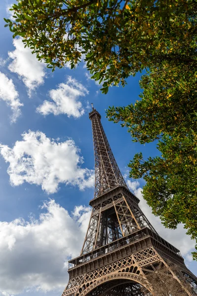 Eiffel Tower through trees — Stock Photo, Image