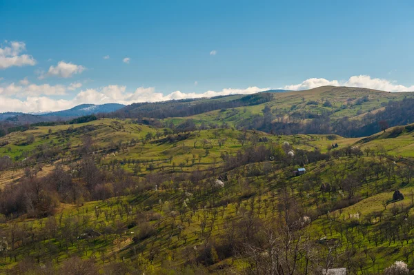 Paesaggio di campagna all'alba Foto Stock