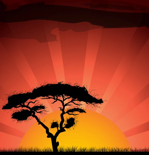 Silhueta de uma árvore em pôr-do-sol vone —  Vetores de Stock