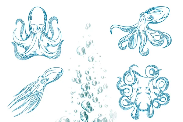 Original close up vector illustration of hand drawn octopus. — Stock Vector