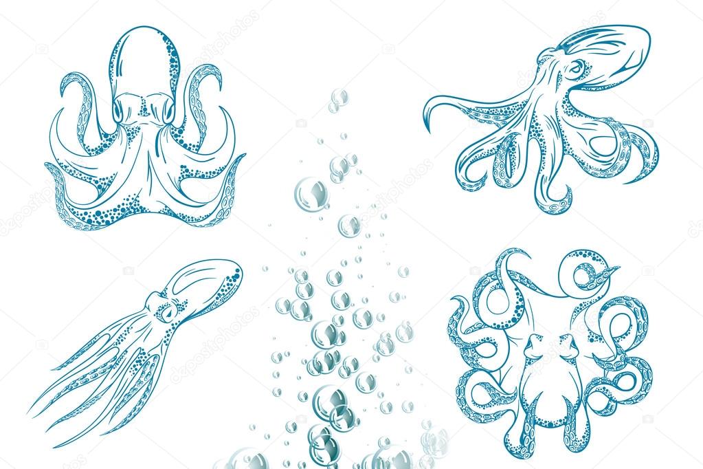 Original close up vector illustration of hand drawn octopus. 