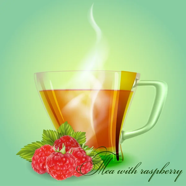 Tea málna — Stock Vector