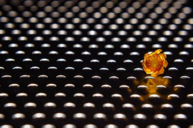 Sertlik ve incelik - bir çiçek ve bir rende