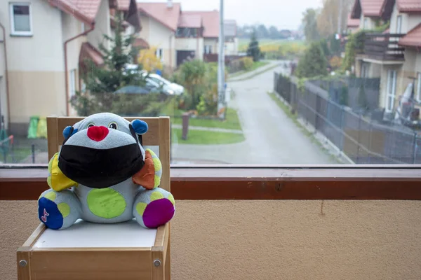 Renkli, tüylü, siyah kumaş maskeli oyuncak ayı, büyük bir pencerenin önünde bir sandalyede oturuyor..