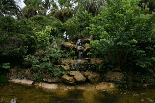 Estanque Con Cascada Plantas —  Fotos de Stock