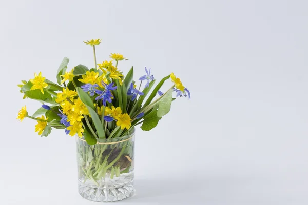 Gelbe und blaue Frühlingsprimeln in einem transparenten Glas auf einem — Stockfoto