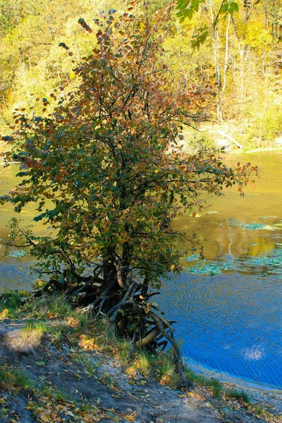 在河岸上温暖的秋日 — 图库照片