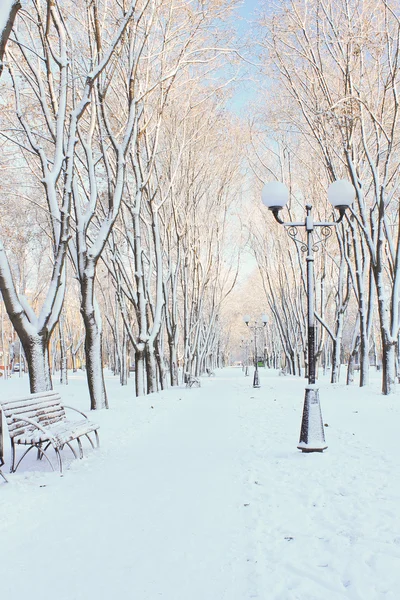 Première neige sur le boulevard le matin d'hiver — Photo