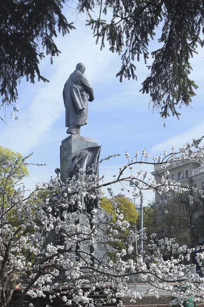 bir bahar günü shevchenko parkta