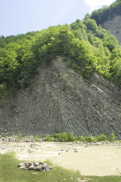 Steile Felswand mit einem Wald an der Spitze — Stockfoto