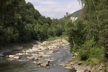 Taşlı dağ nehir yatağı ormanlık kıyıları ile