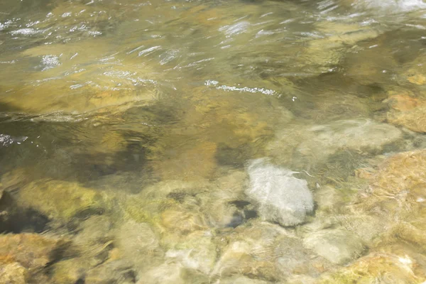Bir dağ dere içinde su hızlı akış