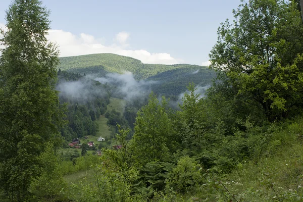 Літній пейзаж з селом в гірській долині — стокове фото
