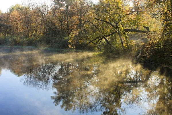 A riverbank at dawn in autumn — Stock Photo, Image