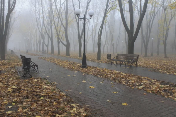 Nasskalter und nebliger Novembermorgen auf dem Boulevard — Stockfoto