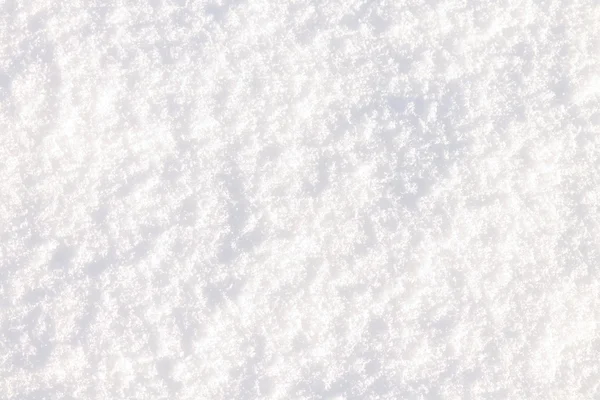 Свіжий сніг вранці сонячне світло — стокове фото