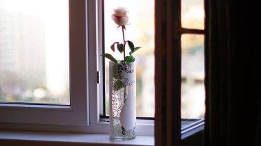 Pencerenin yanındaki pencere pervazında beyaz bir vazoda güzel bir gül.
