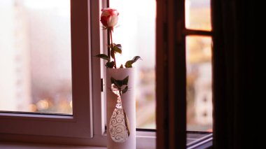 Pencerenin yanındaki pencere pervazında beyaz bir vazoda güzel bir gül.