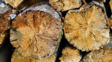 Makroda bir sürü odun var.