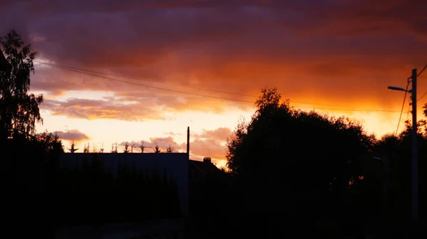 Schwarze Silhouette Von Bäumen Bei Sonnenuntergang — Stockfoto