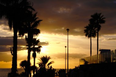 Altın gün batımı