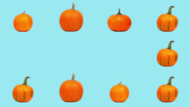 60Fps Pumpkins Animation Αναδυθείτε Απόκριες Φόντο — Αρχείο Βίντεο