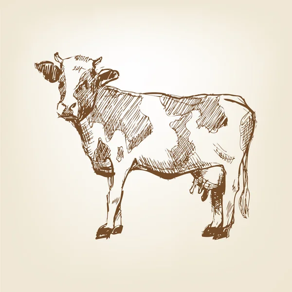 Vache Dessinée à la main — Image vectorielle