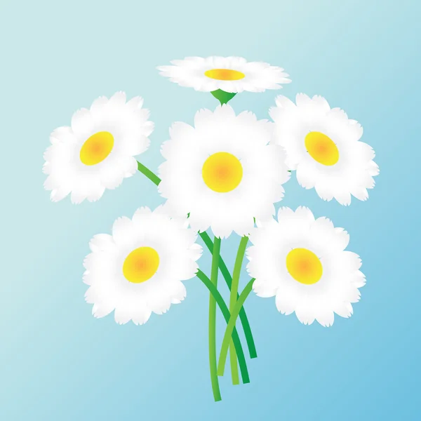 Flores blancas — Vector de stock