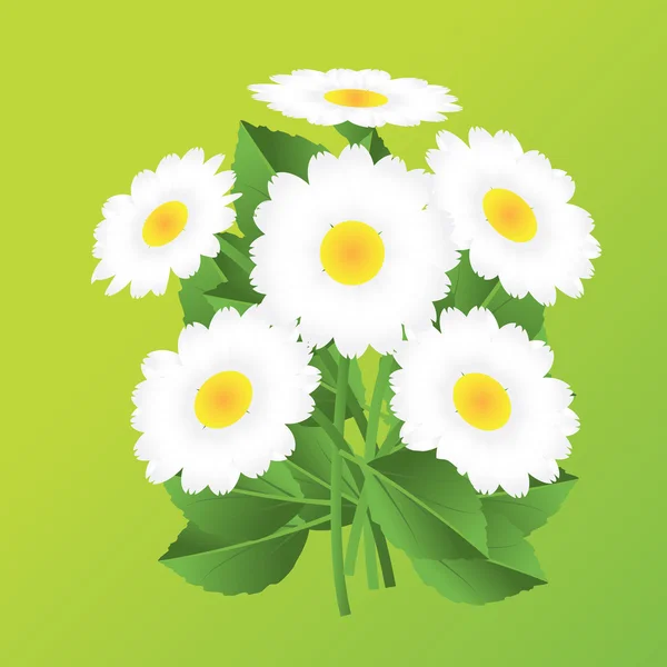 Vita blommor — Stock vektor